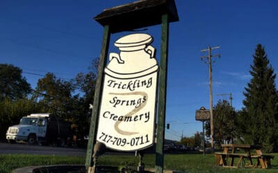 Maryland dairy plans to relaunch the Trickling Springs brand