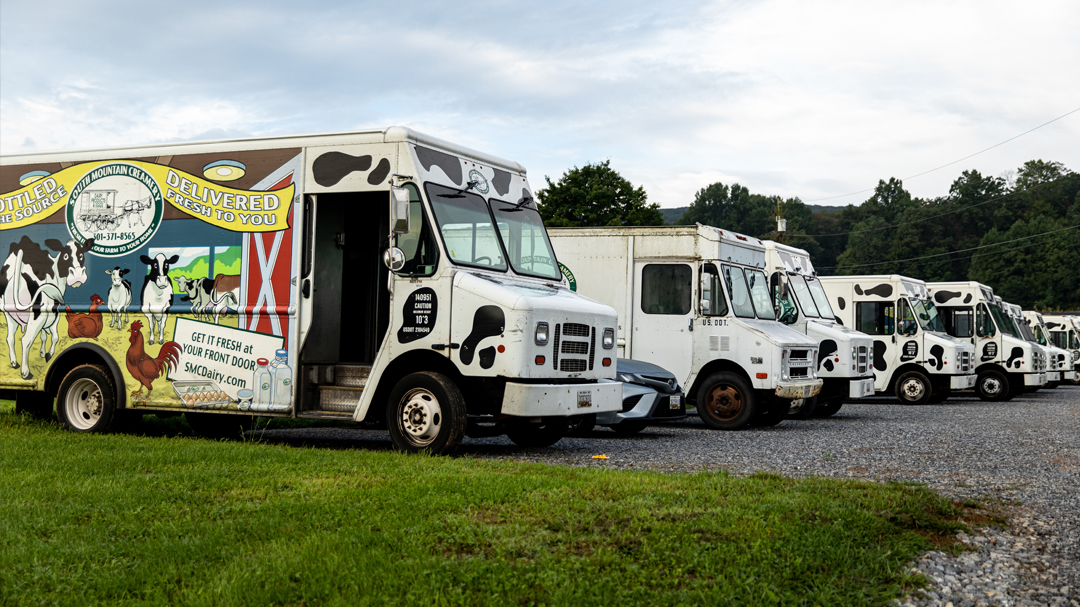 Line up of South Mountain Creamery delivery vehicles in parking lot on the farm