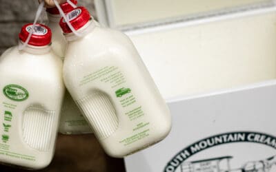 Milk Delivery Business Booms As People Avoid Grocery Stores