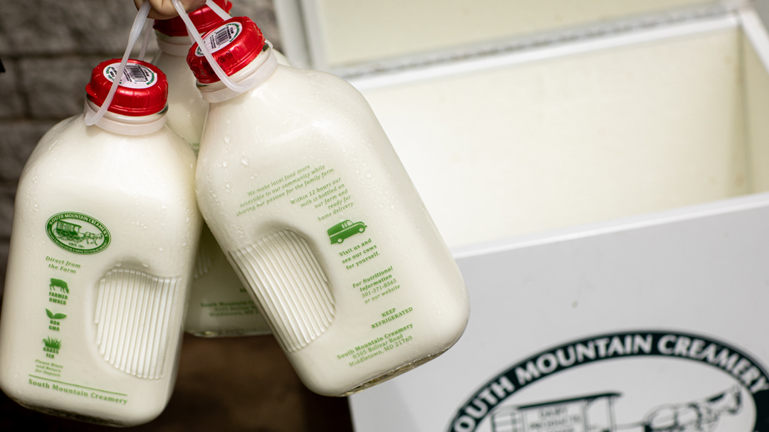 Man taking cold glass gallons of South Mountain Creamery milk from a cooler