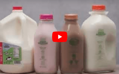 How Milk is Made