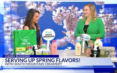 Serving Up Spring Flavors on DC News Now