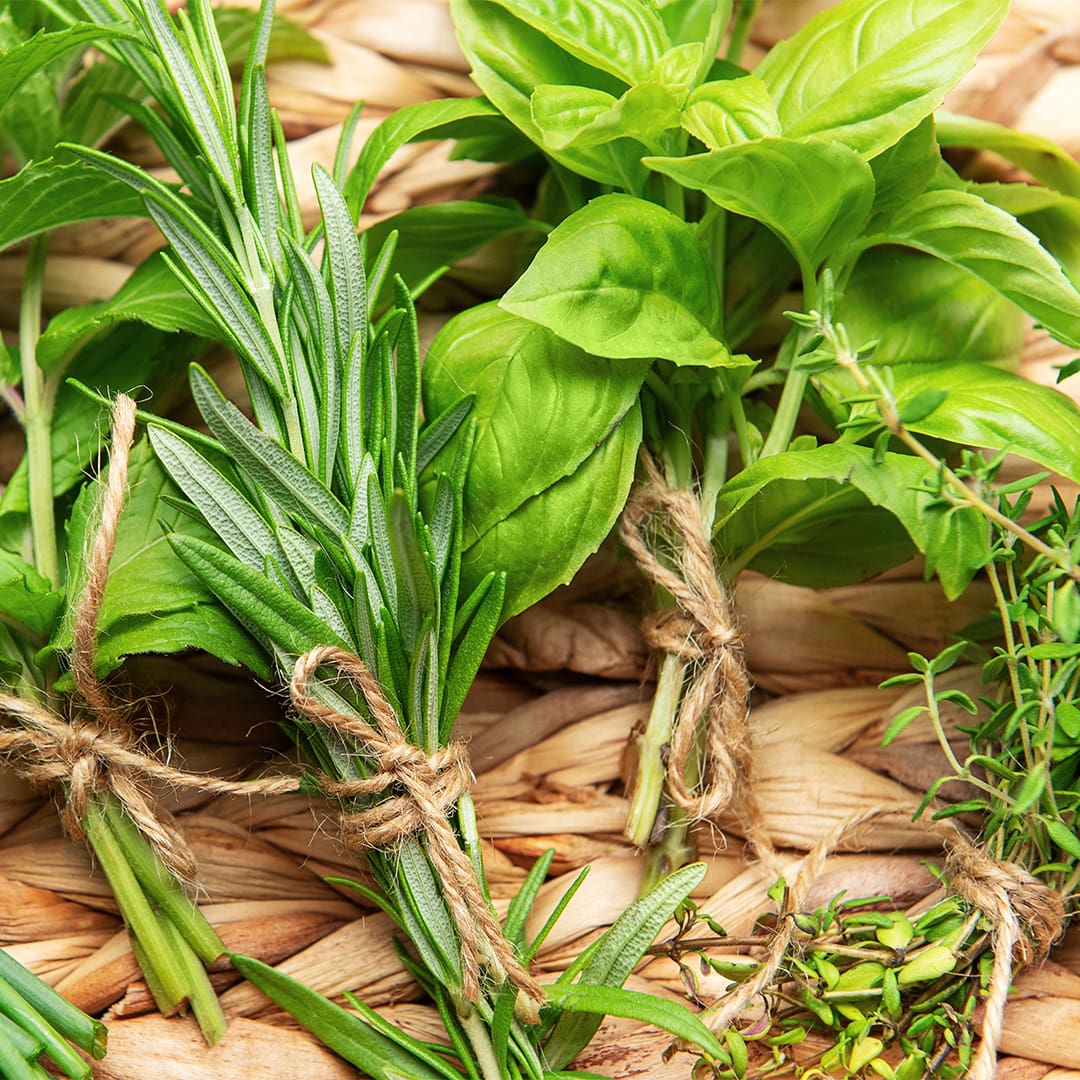 SMC-Turkey-Landing-Page-Herbs-2-8-25 man looking at SMC meat