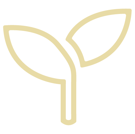 home delivery icon