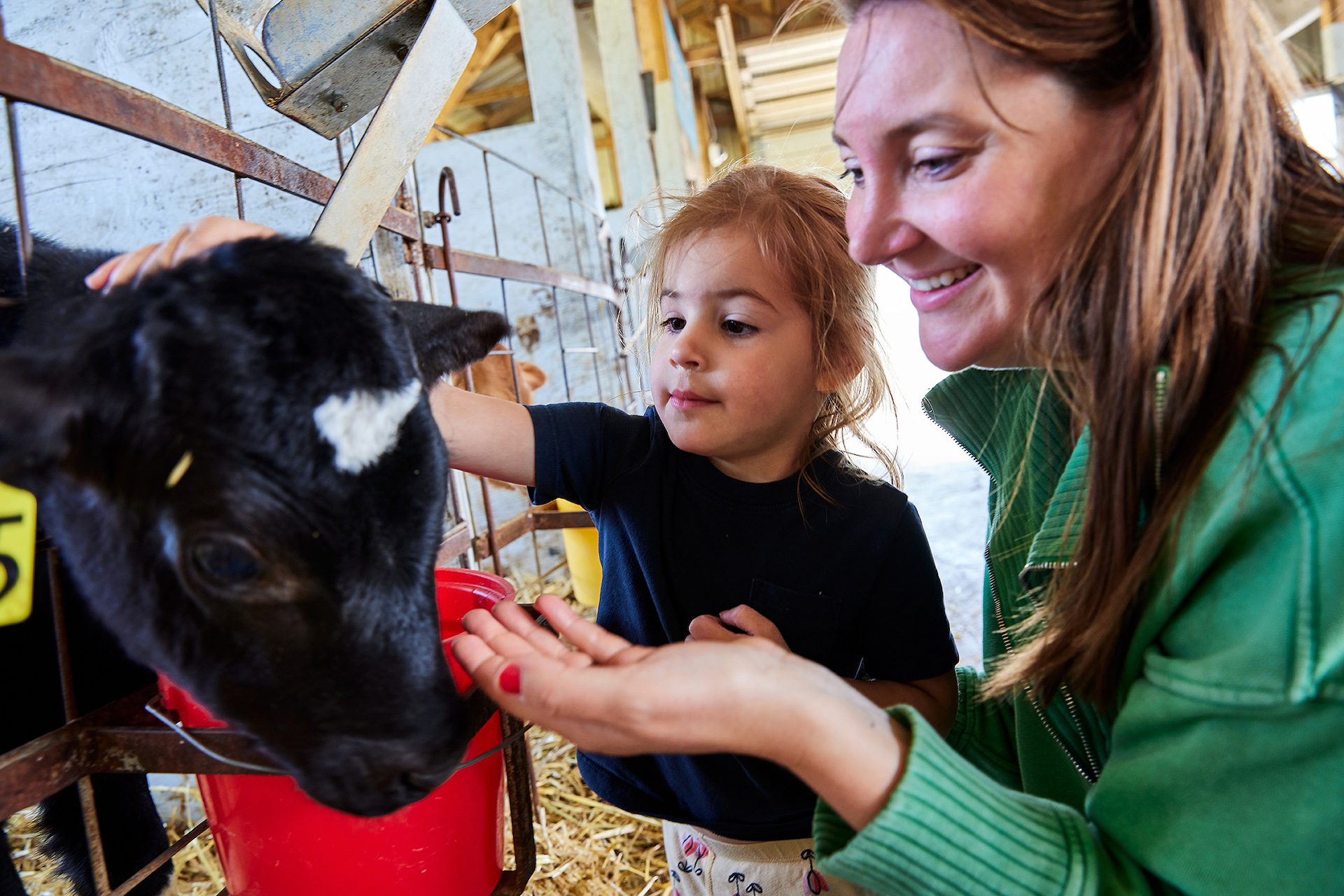 SMC-private-tours-hero Mother and child petting a baby cow