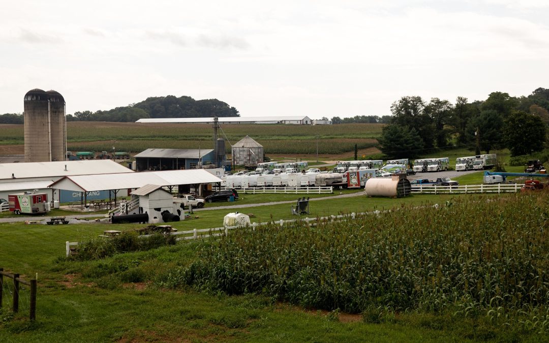 How we Celebrate National Dairy Month