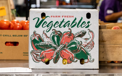 Our Guide to Store Fresher Produce